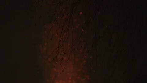 Slow Motion Of Fire Sparks Isolated On Black Background. Stock Footage 267009983
