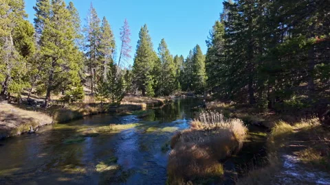Slow Motion Firehole River in Autumn Upper Geyser Basin Yellowstone Video stock 320043700