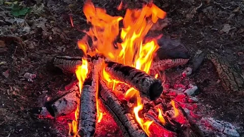Slow Motion Fireplace Logs Burning Brightly Stock-Footage 342280202