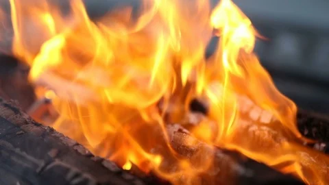 Slow Motion Firewood Burning Stock Footage 120726345