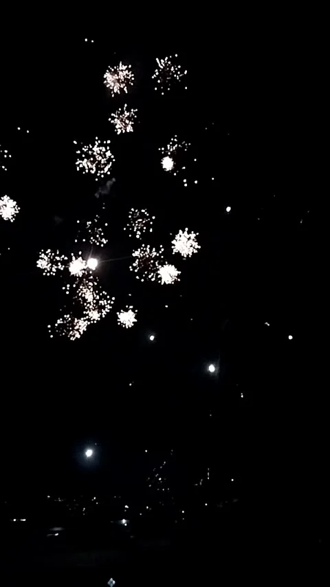 Slow Motion Fireworks Bursting in Night Sky New Year Stock Footage 325415199