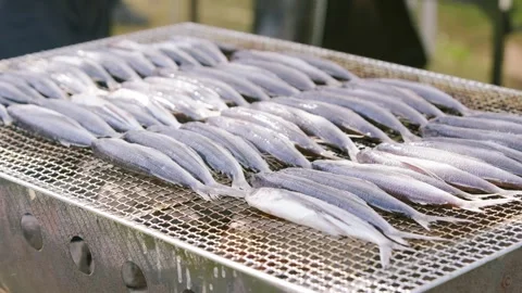 Slow motion of fish grilling closeup on barbecue rack with rising smoke Japan Stock Footage 321080312