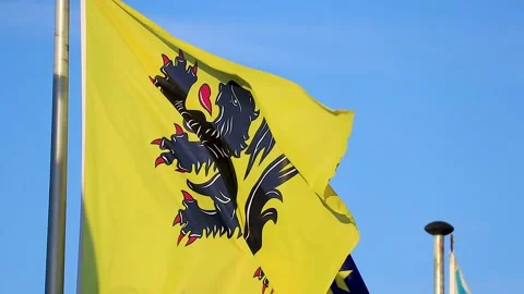 Slow motion of the flag of Flanders Vídeos de archivo 152977459