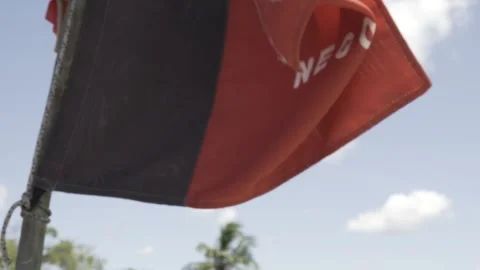 Slow Motion Flag of Paraíba State Waving in Wind, Barra do Gramame Stock Footage 320571917