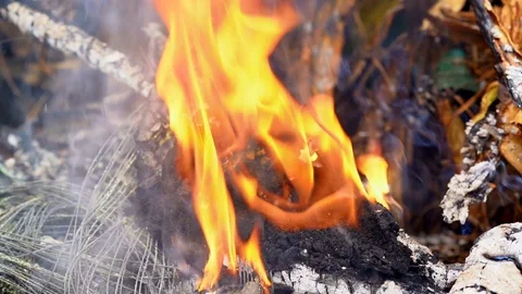 Slow motion flame fire and smog is burning garbage or waste  on dark background. Stock Footage 92934841