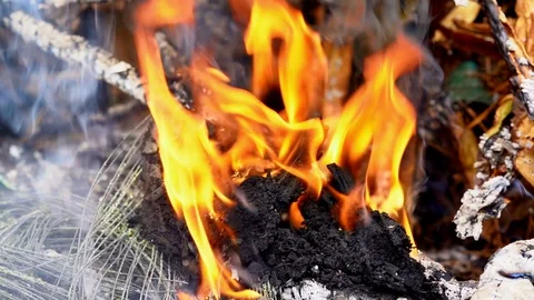 Slow motion flame fire and smog is burning garbage or waste  on dark background. Stockbeeldmateriaal 92934852