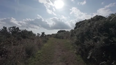 Slow motion flat color dirt hiking path on green hill slope Stock Footage 340449029