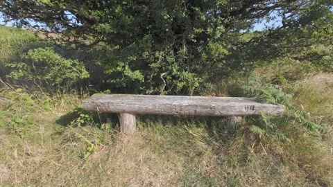 Slow motion flat color footage of wooden bench in green park Stock Footage 340446498