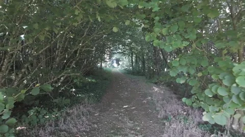 Slow motion flat profile archway path through green leafy trees Stock Footage 340449920