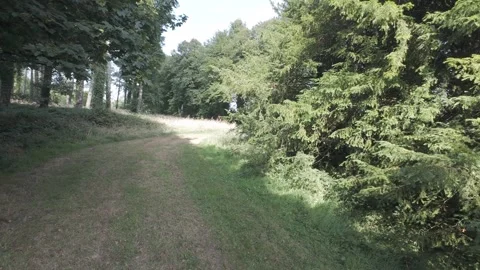 Slow motion flat profile path leading through green trees Stock Footage 340447330