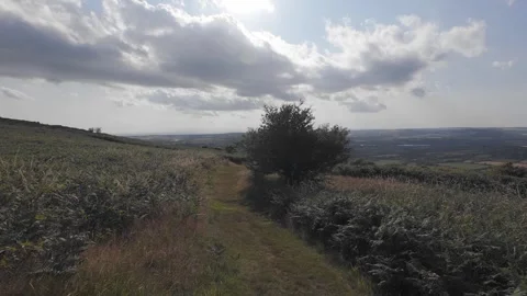 Slow motion flat profile view of rural hill path and bushes Stock Footage 340446458