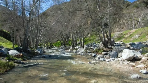 Slow Motion Flight Over River 스톡 동영상 126458918