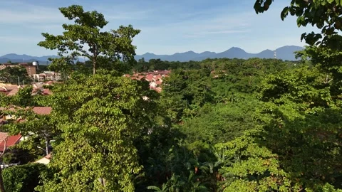 Slow Motion Flight Through Trees Revealing Village and Mountains Palawan Stock Footage 326836486