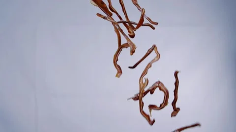 Slow motion flip pork meat slice up and flying down Stockbeeldmateriaal 169071380