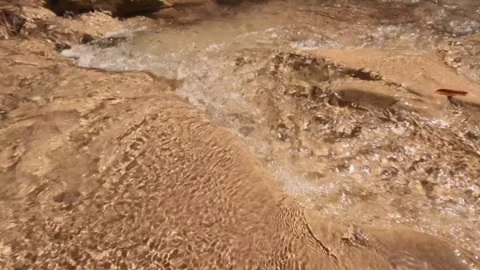 Slow motion of the flow of clear and shallow mountain river water Stock Footage 321325850
