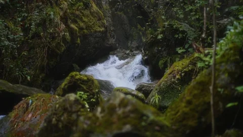 Slow motion flow of the river among the stones, covered with moss 스톡 동영상 220937224