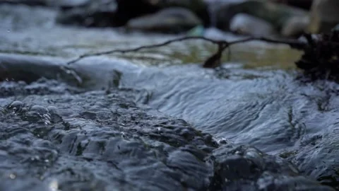 Slow Motion Flow of River with Clean Water between Gravel Stones 库存影片 236609072