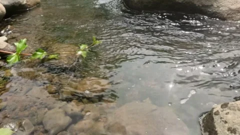 Slow motion Flow on the rocky river bank Stock Footage 323043323