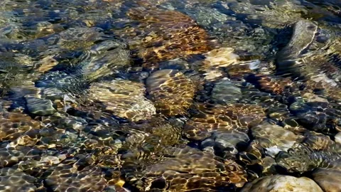 Slow motion flow of water of a mountain river with stones under water.    Bea Stock Footage 219932250