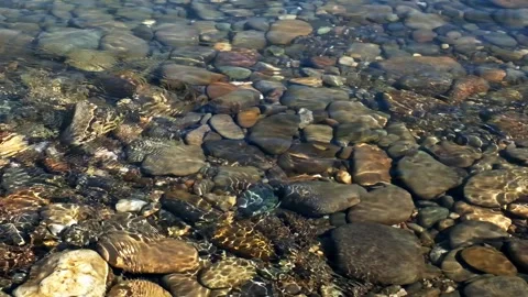 Slow motion flow of water of a mountain river with stones under water.    B.. Stock Footage 254623694