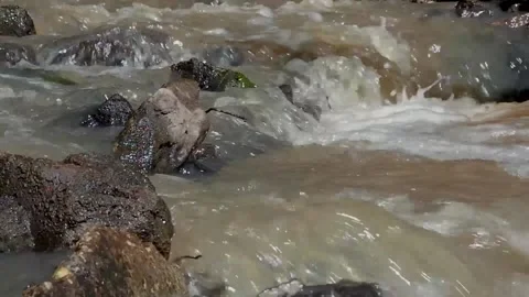 Slow motion. Flow of water through rocks and rapids Stock Footage 156848075