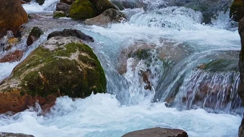 Slow motion of a flowing turbulent mountain river with cold clear water fal.. Stock Footage 313746983