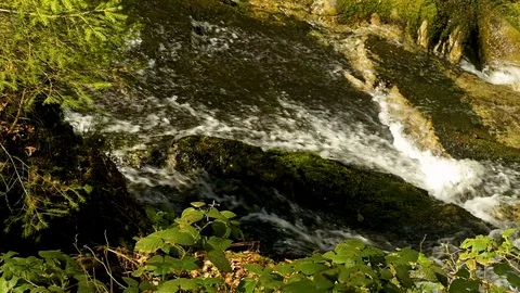 Slow motion of flowting water over a rock by a waterfall in the Black Forest Stock Footage 128714387