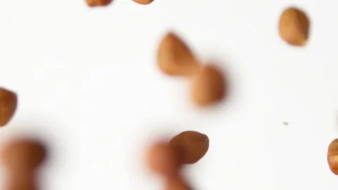 Slow motion of flying hazelnuts on the white background Vídeo Stock 148553179