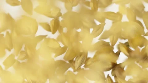 Slow motion of flying malt grains on the white background Video stock 148554200