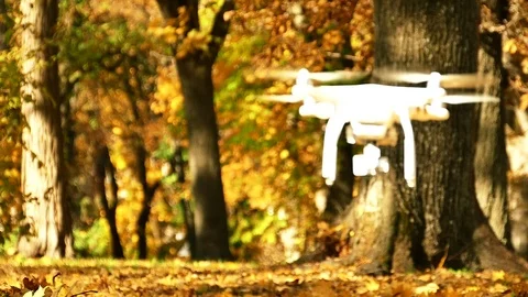 Slow  motion.  Flying modern  drone lifts screws autumn leaves in the park. Appr Stock Footage 82428215