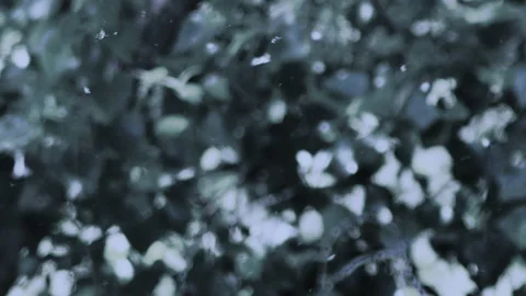 Slow motion focus of poplar flakes on abstract background - 4K - ProRes Stock Footage 153765024