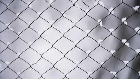 Slow Motion Focus Pulling Of Tree And Barbed Wire Video stock 85104032