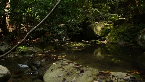 Slow Motion Stock Footage 76356171