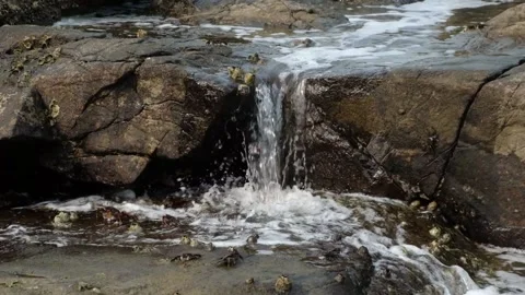 Slow motion 스톡 동영상 176261350