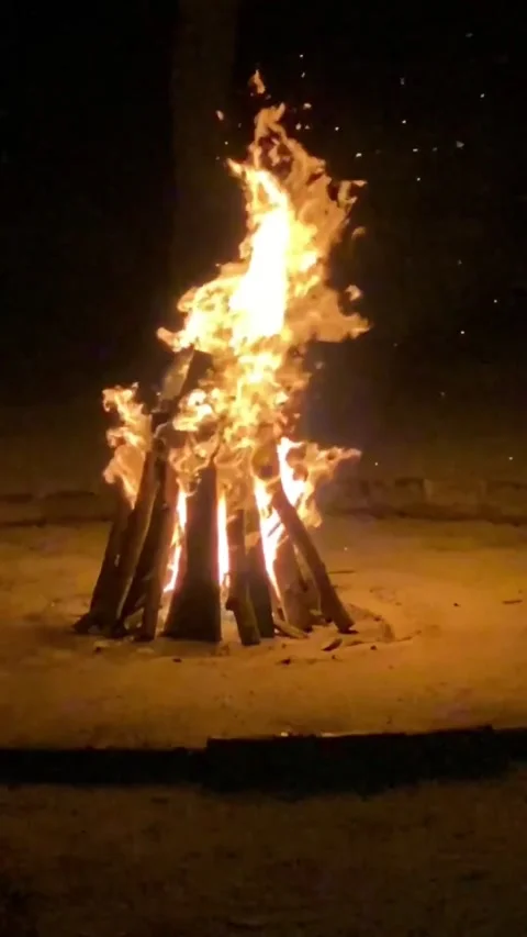 Slow Motion footage of camp fire burning Stock Footage 156801557