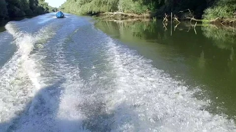 Slow motion footage of Danube Delta Stock Footage 80274841