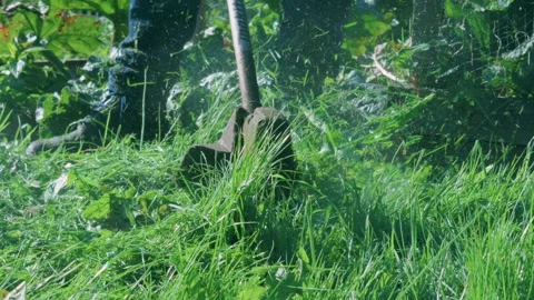 Slow motion footage of an electric grass strimmer Stock Footage 253266344