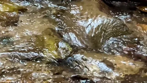 Slow motion footage of a flowing stream swirling over contours colorful stones Stock Footage 201661433