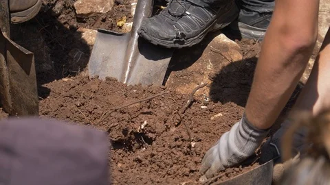 Slow motion footage of a group of people working with archeologists on a field Stock Footage 123725086