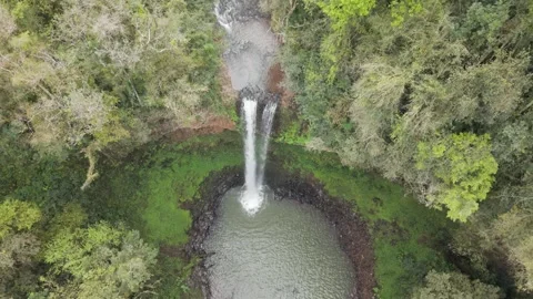 Slow motion footage over a waterfall among trees. Aerial. Stock Footage 332259791