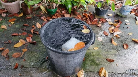 Slow motion footage of rain drops falling into bucket 4k 60 Stock-Footage 145785196