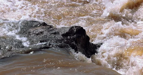 Slow motion footage of rapids Mara River in the Serengeti, Tanzania. Migration. Stock Footage 201219838