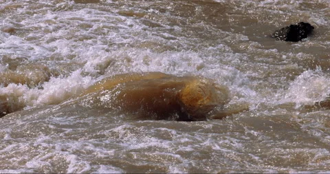 Slow motion footage of rapids on the olifants river during a flood. Kruger park Stock Footage 201216438