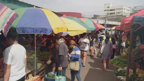 Slow motion footage, shoppers moving through a farmers market. Stock Footage 287093016