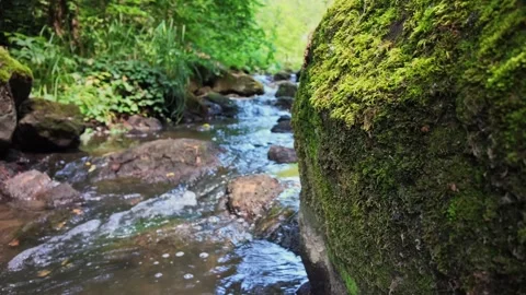 Slow Motion Footage of Stream Gorge With Boulders and Plants Stockbeeldmateriaal 343538315