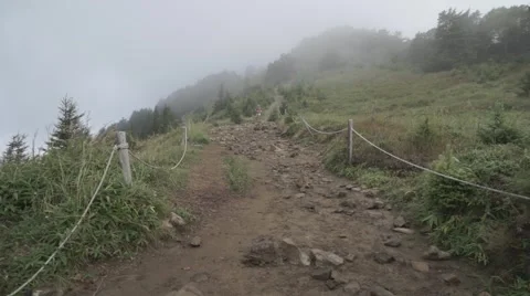 Slow motion footage of trail runner at Mount Daibosatsu in summer, Yamanashi Stock-Footage 58467484
