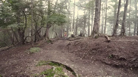 Slow motion footage of trail runner at Mount Daibosatsu in summer, Yamanashi Stock Footage 58467748