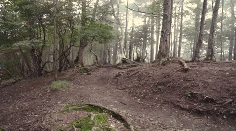 Slow motion footage of trail runner at Mount Daibosatsu in summer, Yamanashi Stock Footage 58467801