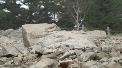 Slow motion footage of trail runner at Mount Daibosatsu in summer, Yamanashi Stock Footage 58467805