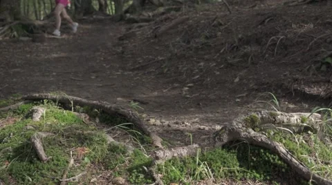 Slow motion footage of trail runner at Mount Daibosatsu in summer, Yamanashi Video stock 58467809